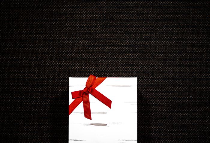 Wrapped gift package with a red bow